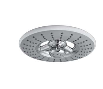 Mercedes 8 Inch Shower
